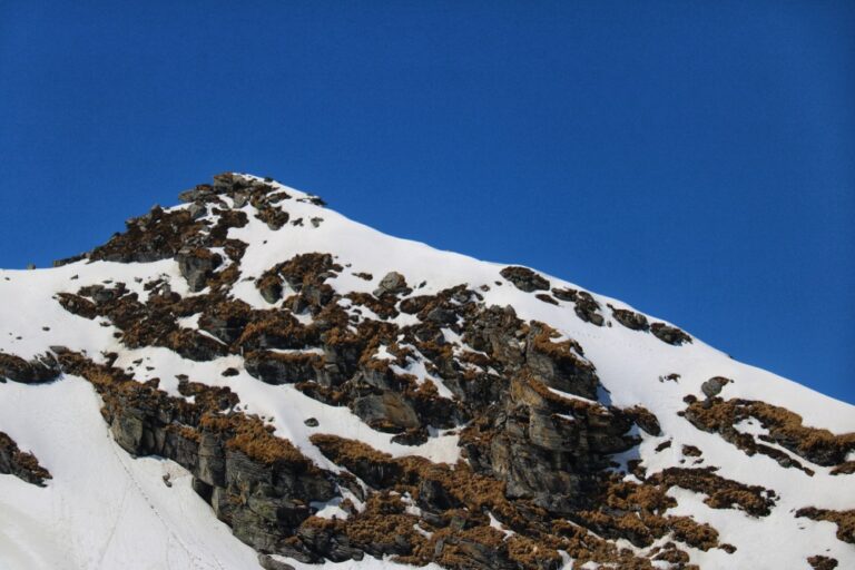 Pangarchulla Peak trek