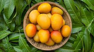 Having mango has many benefits for men