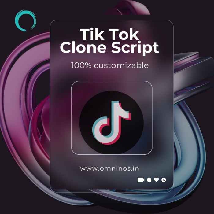 Ready-Made Tik Tok Clone App Development Services | Customize Your Video Sharing Script