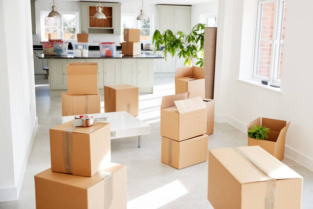 Comprehensive Guide to Man and Van London Removals