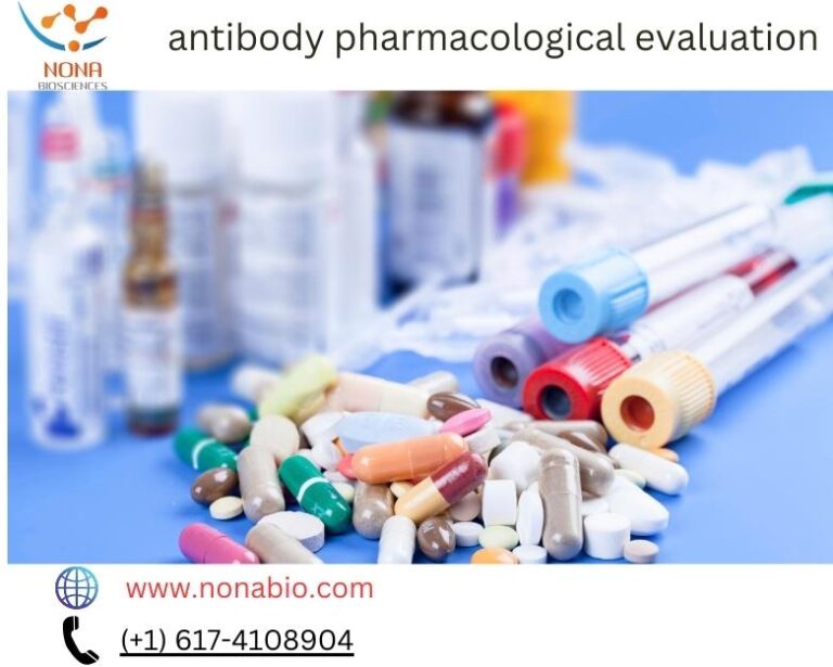Exploring the Critical Phases in Antibody Pharmacological Evaluation: A Comprehensive Overview