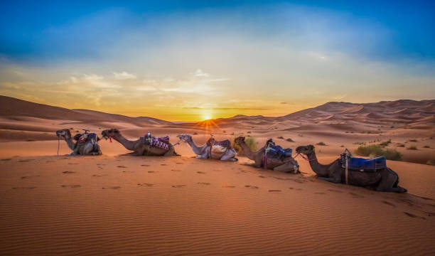  Unveiling the Mysteries of Morocco Desert Tours