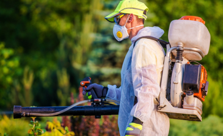 Keeping Homes Pest-Free in The Woodlands and Spring, Texas: Reed’s Pest Control Takes the Lead