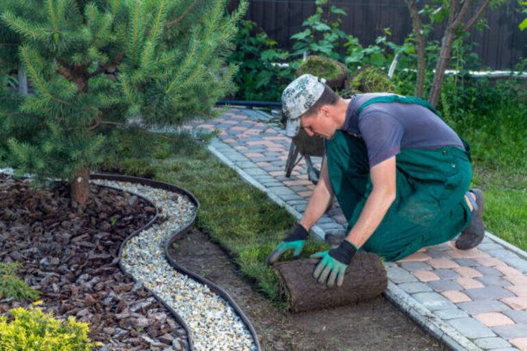 5 Common Soil Treatment Mistakes to Avoid in Your Garden