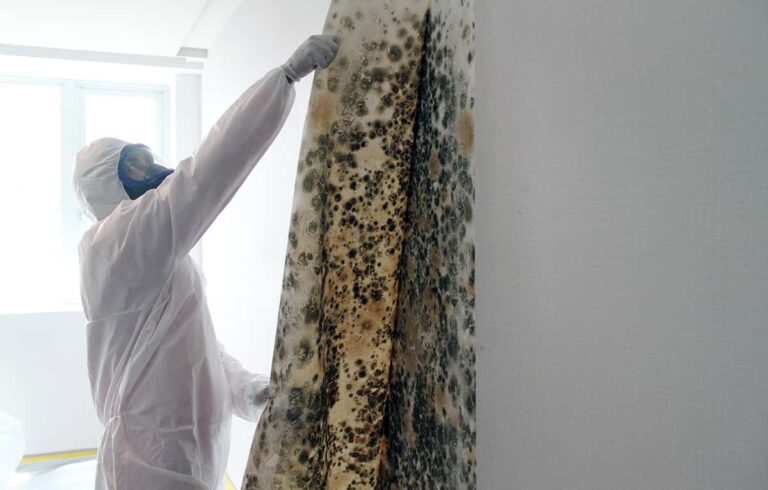 Mold Inspections: A Comprehensive Guide to a Healthy Home