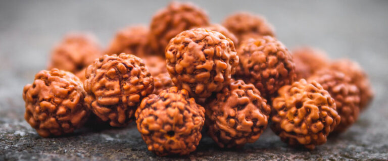 Choosing the Right Rudraksha: A Guide to Types and Their Significance