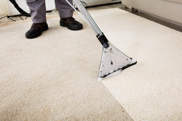 Key Reasons Why Carpet Cleaning Albuquerque Services are Crucial!