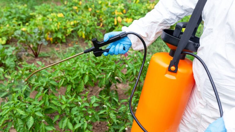 Organic Weed Killer Service in Perth